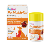 Viên uống Fe Multivita hỗ trợ tạo máu, tăng đề kháng (Hộp 50 viên)