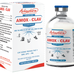 Thuốc tiêm AMOX-CLAV điều trị viêm phổi, viêm khớp trên chó, mèo (20ml, 100ml)