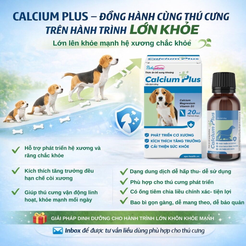 Cách Chữa Chó Con Bị Hạ Bàn, Yếu Chân: Cấp Cứu Khung Xương Sau 2 Tuần